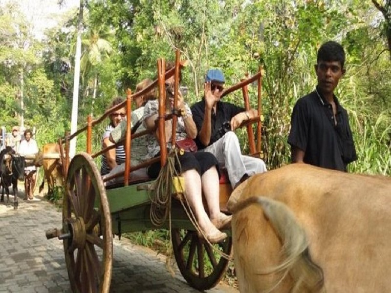 महाराष्ट्र कृषी पर्यटन