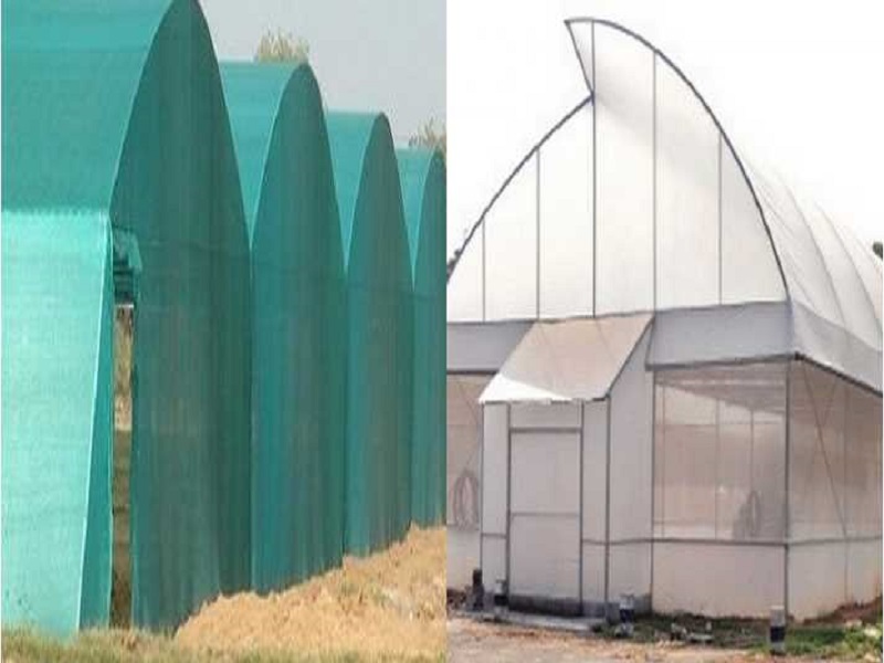 polyhouse farming