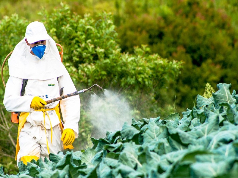 jaivaik pesticide