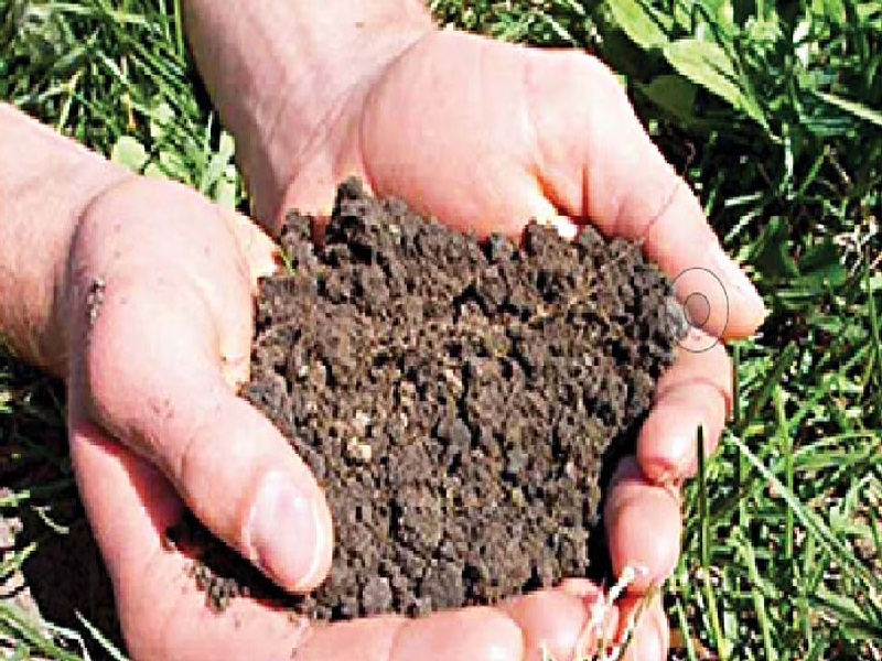 soil testing