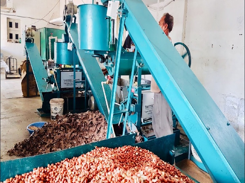 processing on oil seed