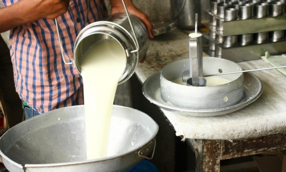 milk produce farmer