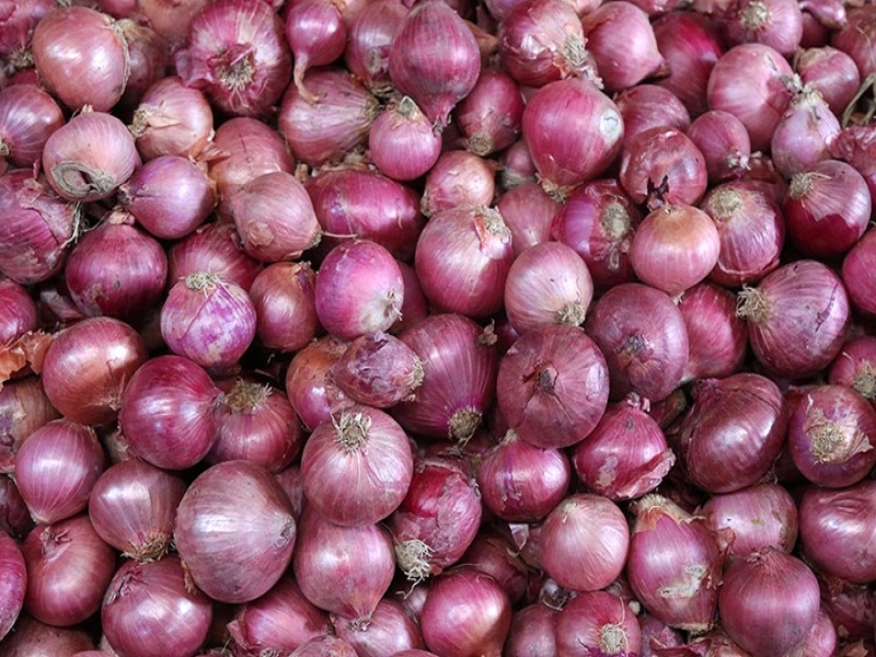 onion india