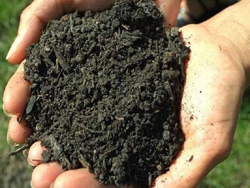 compost fertilizer