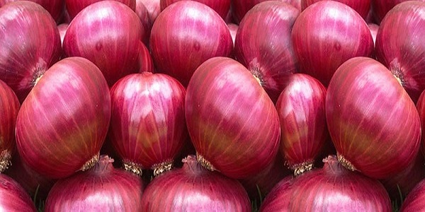 onion market price