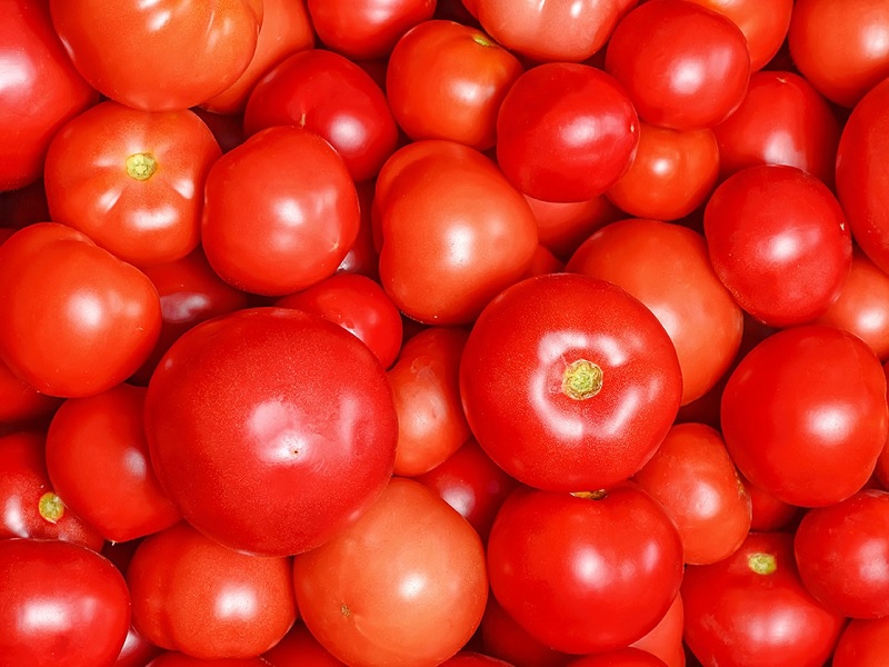 tomatto rate