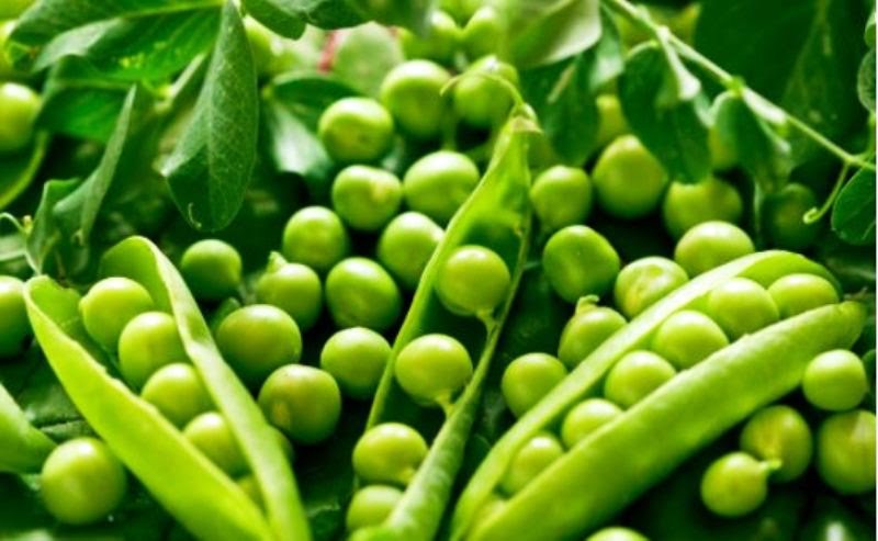 side effect of peas