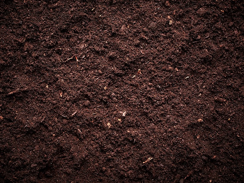 the soil