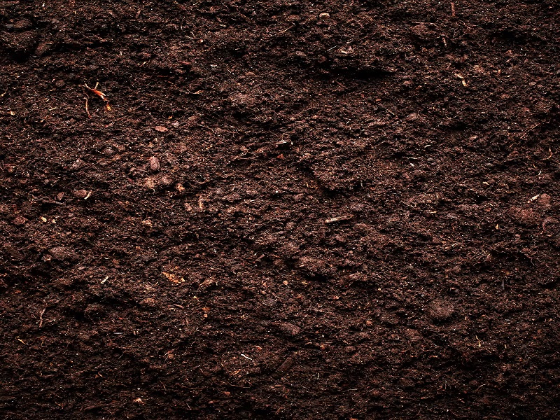 the soil