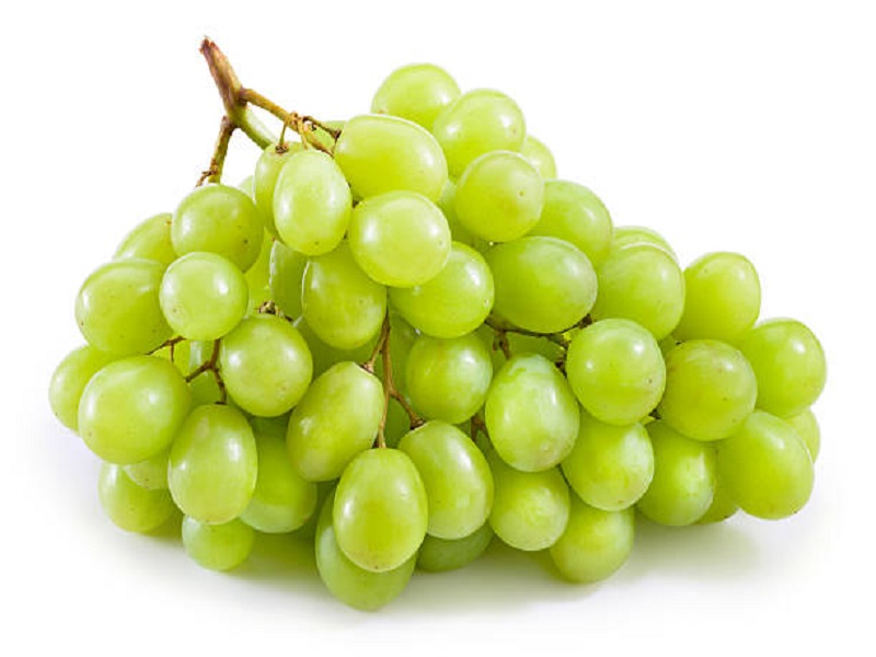 the grape