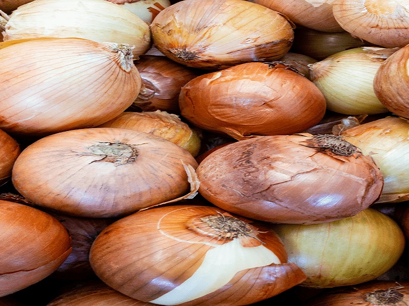 onion storage disease