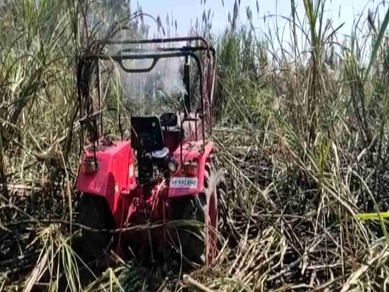 Sugarcane and tractor Burnt