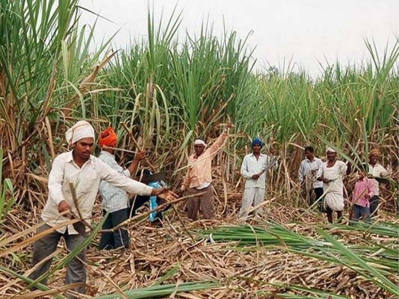 Ethanol and Sugarcane growers