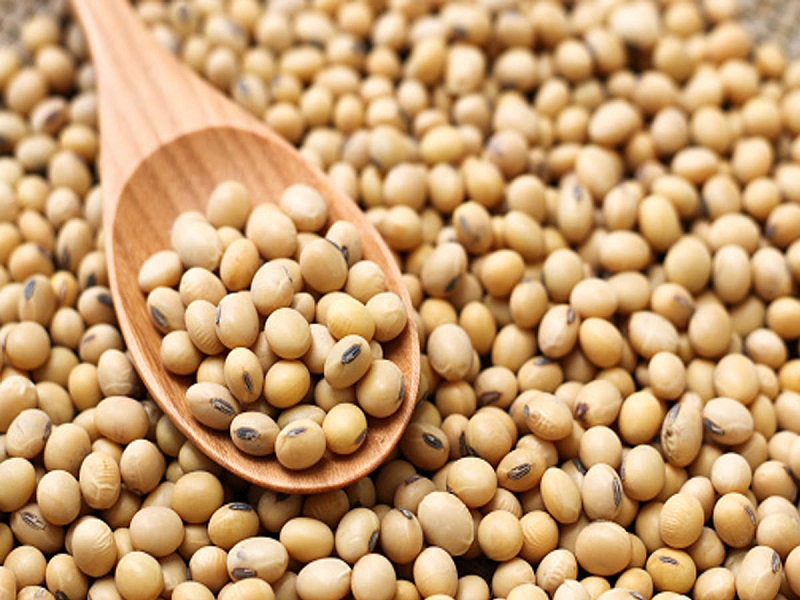 New varieties of soybeans