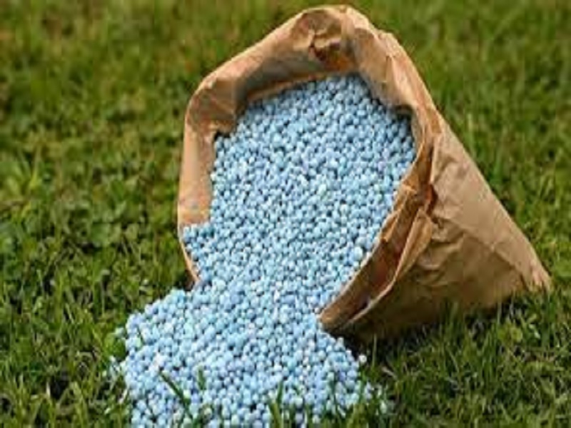 shortage of chemical fertilizer