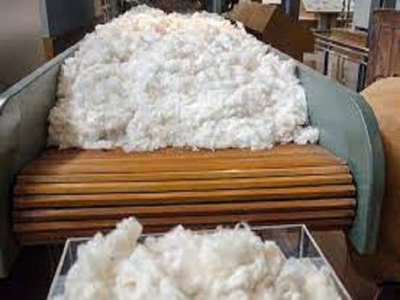 cotton processing