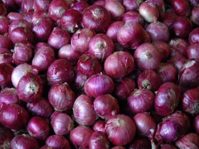 production of onion