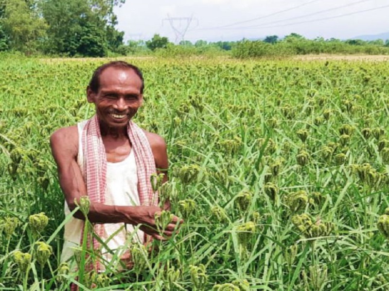 Thackeray government's aggressive decision farmar