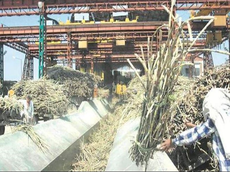 sugar factories will closed face rains