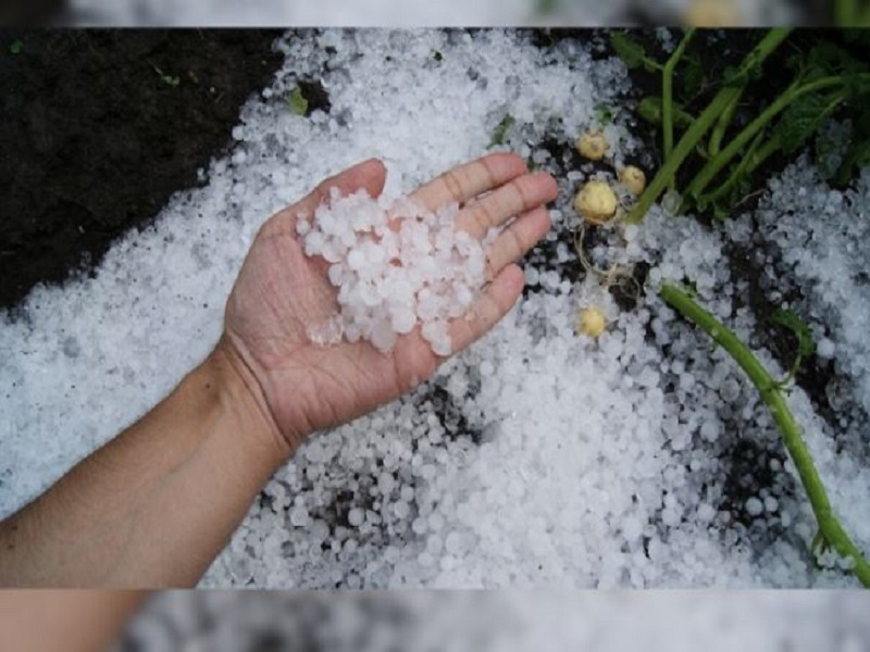 hailstorm and rain are likely in the state due to cyclone