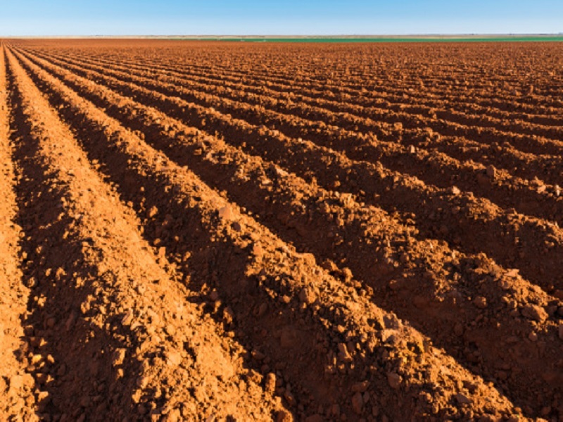 dificency of potash is harmful for crop productivity