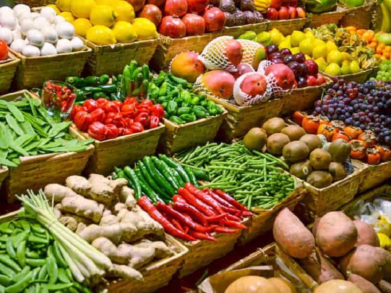 vegetable suppliers bussiness