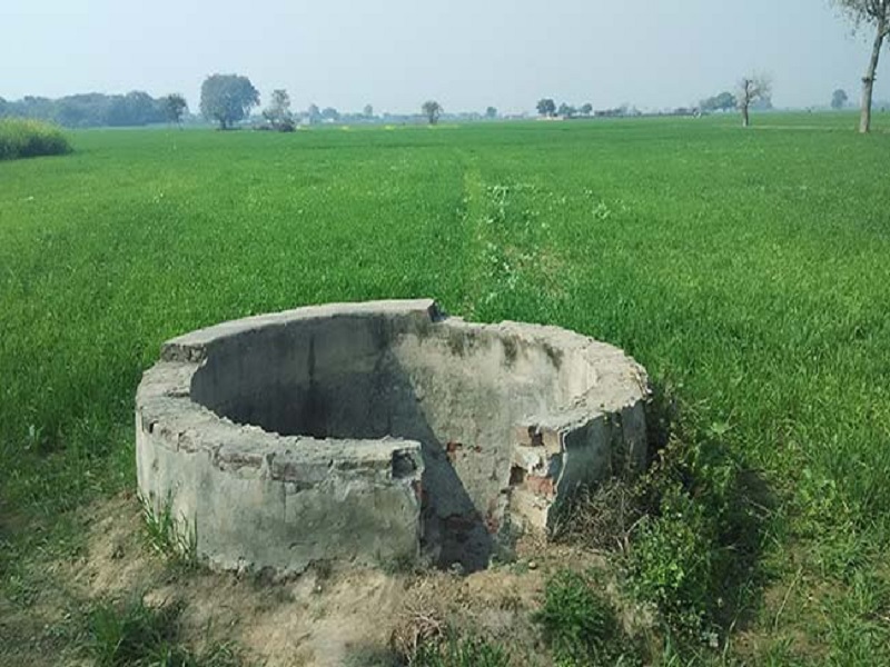 the well in farm