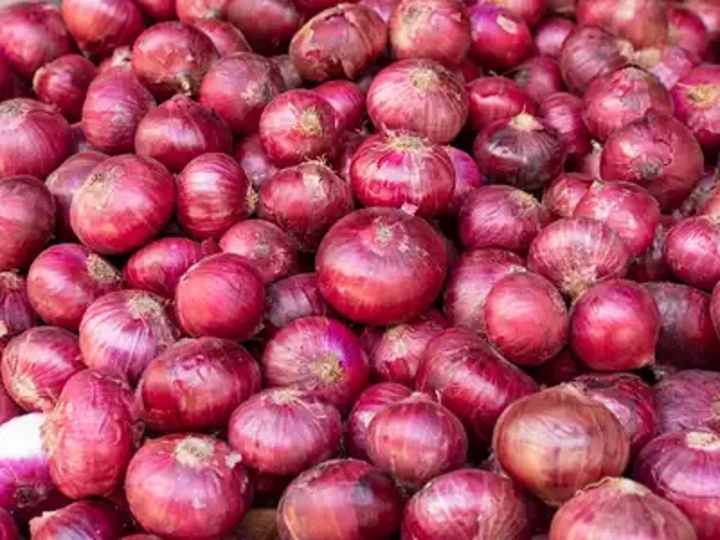 onion rate decrease in market due to unseasonal rain