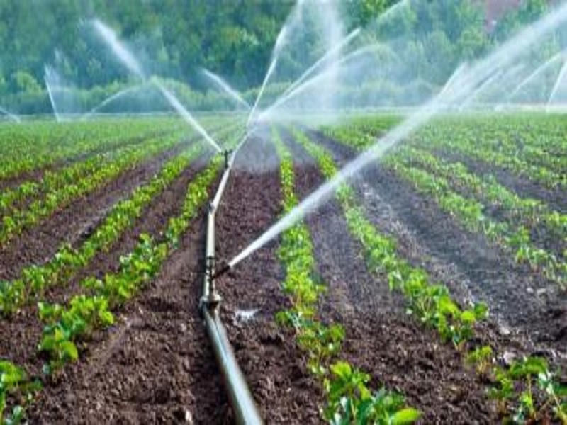 grow technology for water management for crop