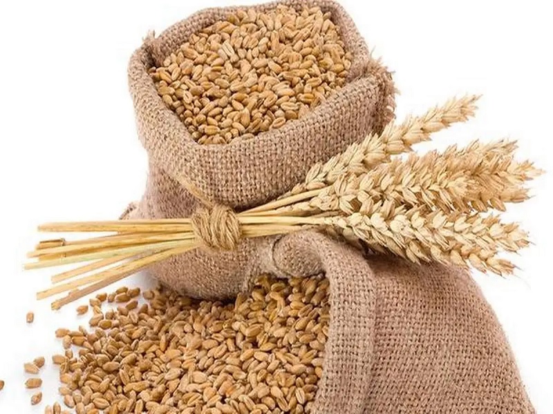 storage tricks that useful for wheat grain storage
