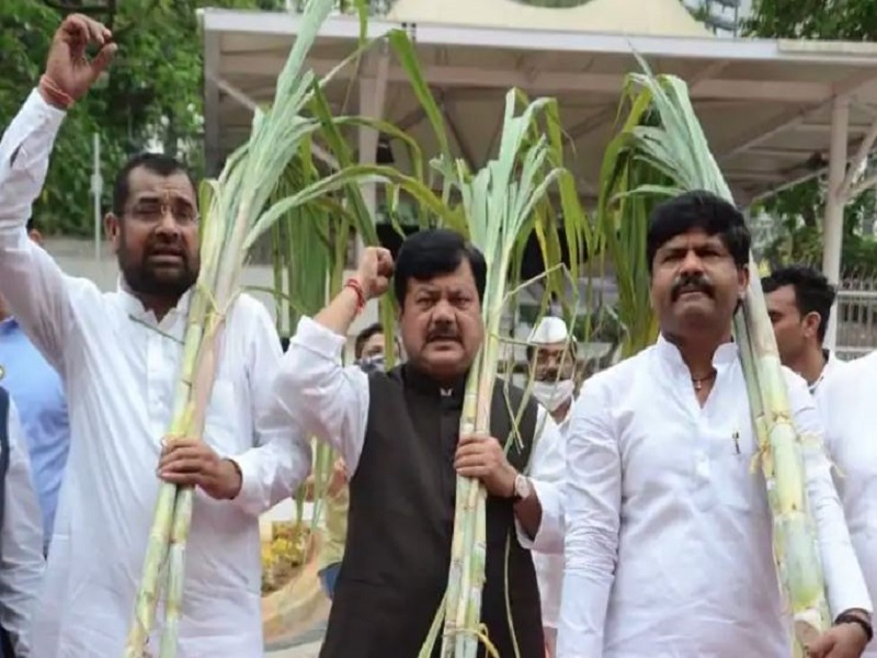 Will the remaining sugarcane get a grant of Rs 50,000