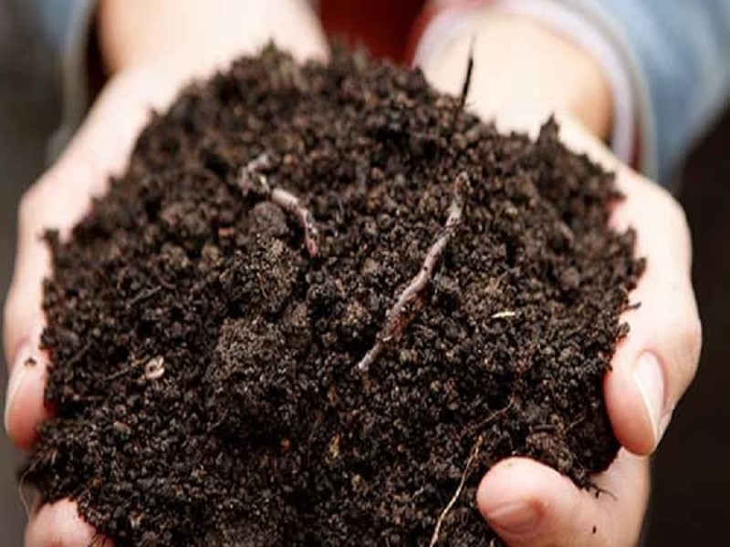 biodaynayamics technology useful for fasr compost making