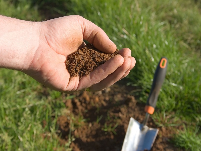 soil testing is so crucial in crop production