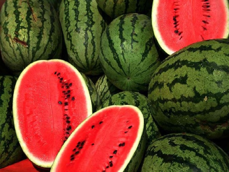 watermelon rate