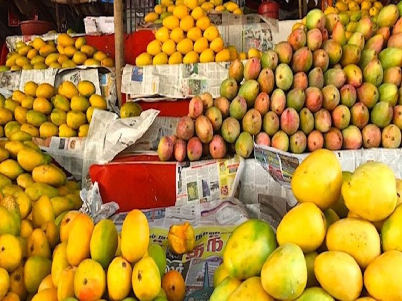 mango grower farmar maharashtra