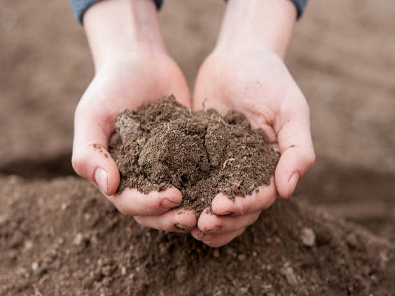 importance of soil testing