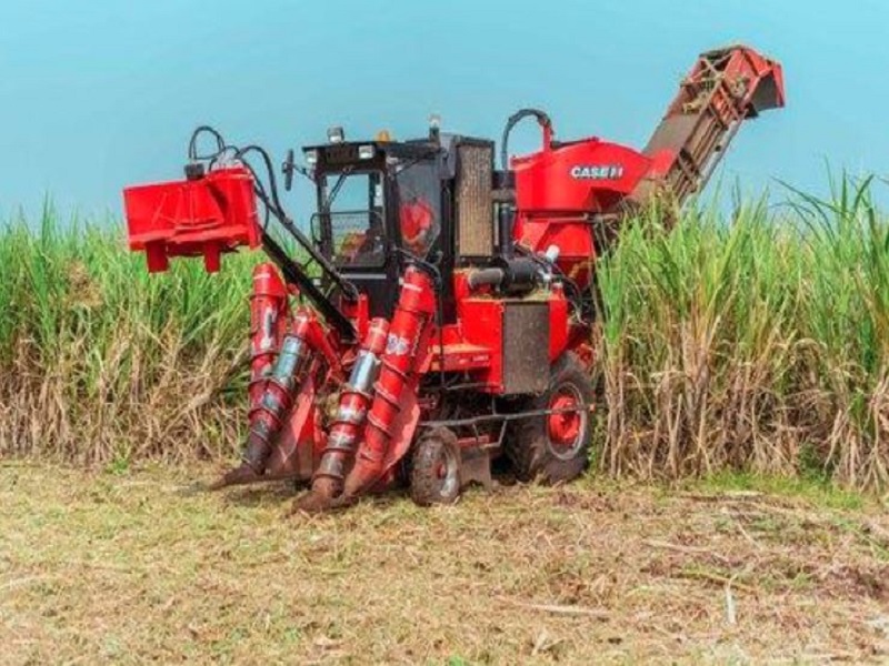 harvester was sent to cut the extra sugarcane.