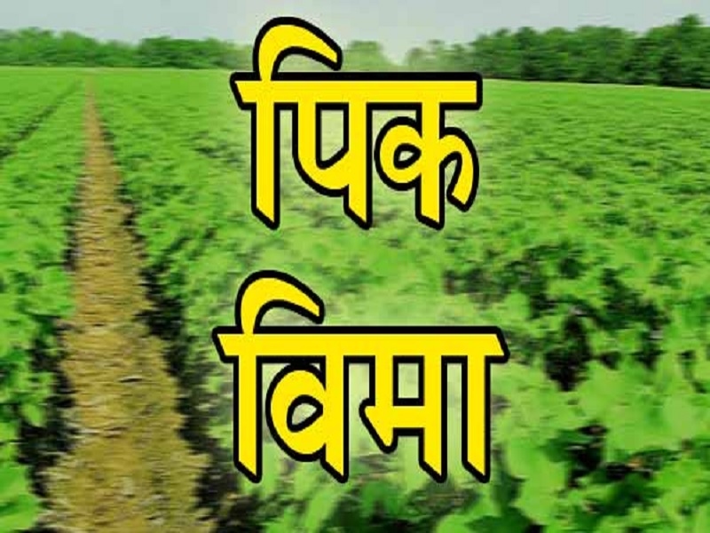 farmer do watery grave movement for get crop insurence