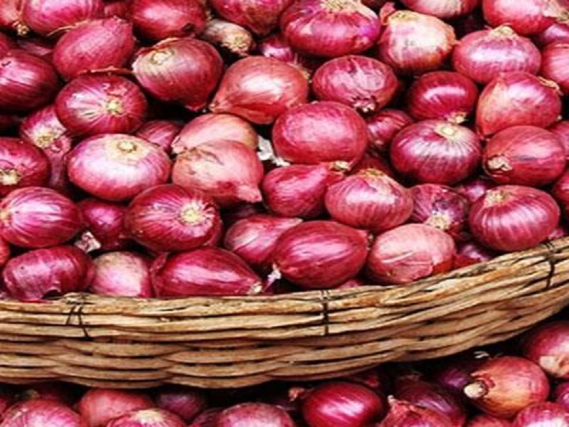 making onion pest is profitable bussiness for farmer