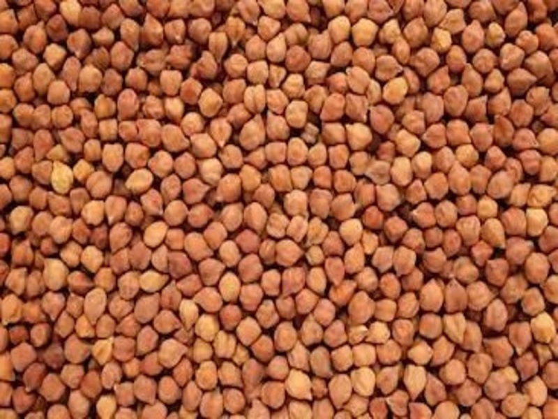 mhafc purchasing 12 lakh 50 thousand chickpea at msp center