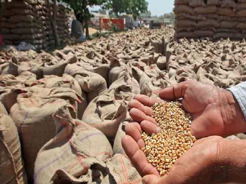 Exports of  crop have increased significantly