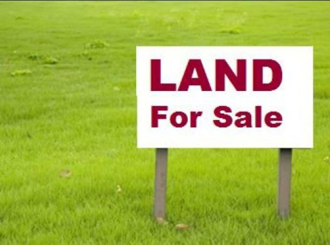 Changes in the rules of sale and purchase of agricultural land