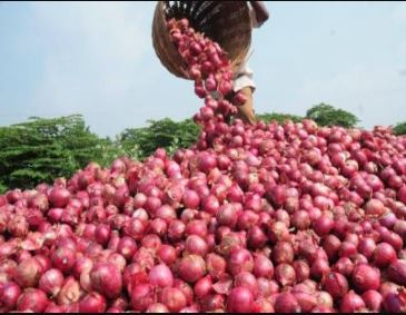 A farmer of the town growing 25 tons of onion per acre