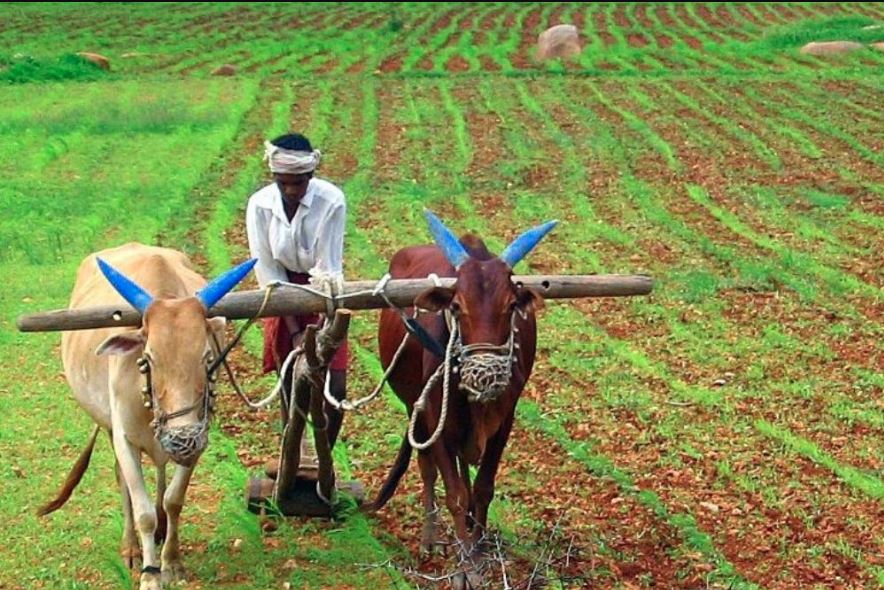 Large number of jobs in agriculture sector, opportunities for 1.10 crore people