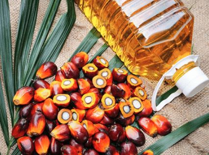 Edible oil prices to rise further, Indonesia decides to ban exports