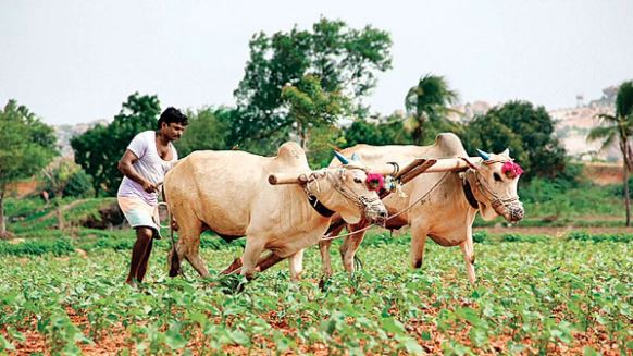 Planning of agriculture department now in April, decision of state government