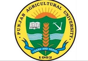 Production of sowing machine by Punjab Agricultural University