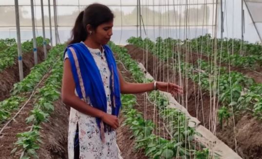 Young women by providing employment to the women of the village by cultivating chillies. PC;BBC