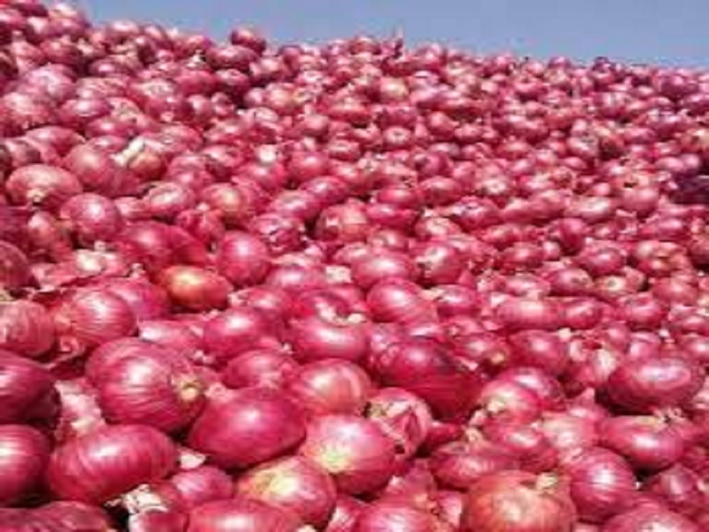 you can earn more profit through making onion peat by processing