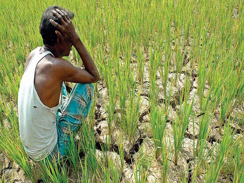 farmers face monsoon increase in capital expenditure
